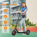 350W Foldable Electric Scooter